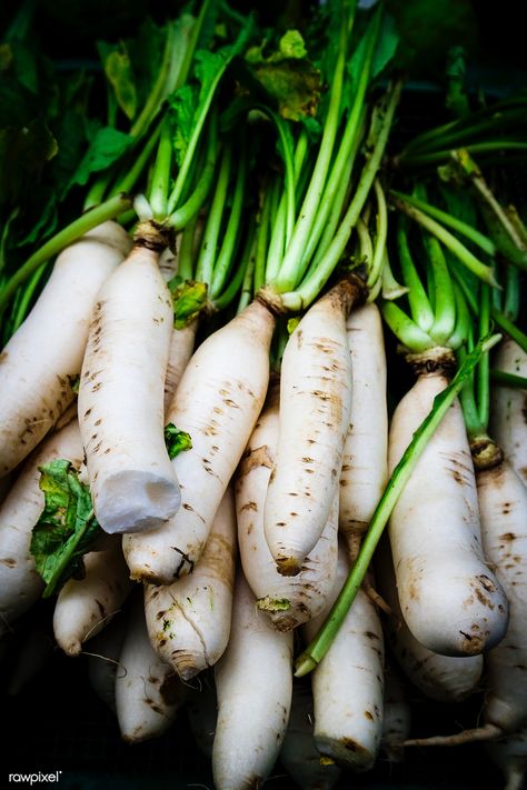 White Turnip, Romanesco Broccoli, White Radish, Carrot Vegetable, Daikon Radish, Starting A Garden, Ginger Recipes, Food Wallpaper, Variety Of Fruits