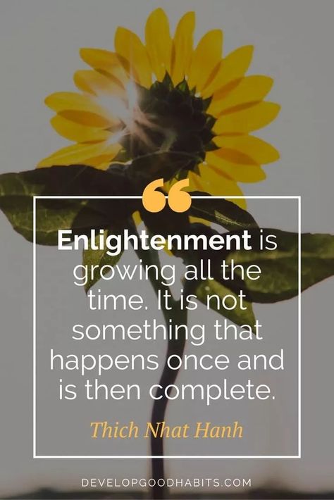 Quotes On Meditation, Live Quotes For Him, Intentional Living Quotes, Enlightenment Quotes, Thich Nhat Hanh Quotes, Awakening Quotes, Like Quotes, Thich Nhat Hanh, Life Quotes To Live By