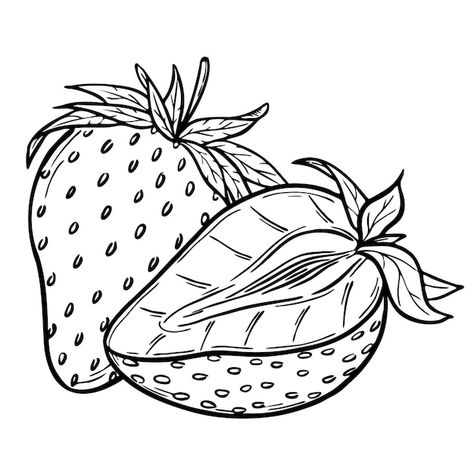 Strawberry Outline, Botanical Outline, Drawn Strawberry, Sketch Line Art, Strawberry Drawing, Art Composition, Outline Illustration, Redwork Embroidery, Cartoon Illustration