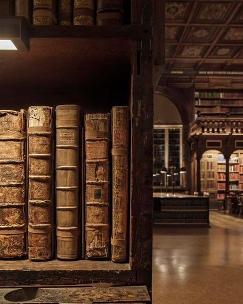 Bodleian Library (Hogwarts Library) Dive into the enchanting world of the Bodleian Library, one of Oxford’s most storied landmarks, which inspired the Hogwarts Library in the Harry Potter films. 📚✨ As one of the oldest libraries in Europe, the Bodleian offers a magical experience for book lovers and Potter fans alike. 🌟🏛️ Introduction to the Bodleian Library Established in 1602, the Bodleian Library is a treasure trove of historical and literary significance. Its grand architecture and vast... Hogwarts Library Books, The Bodleian Library, Pretty Library Aesthetic, Grand Library Aesthetic, Oxford Libraries, Library Hogwarts, Magic Library Aesthetic, Occult Library, Spooky Library