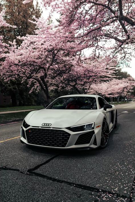 R8 Car, R8 Audi, Tata Cars, Bmw White, Cars Bmw, Pink Photography, Audi R8 V10, Top Luxury Cars, Pretty Bike