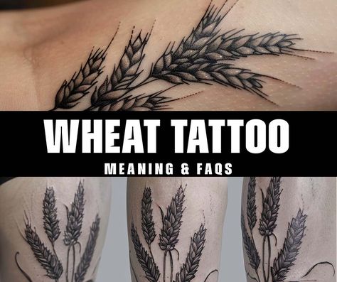 What is the significance of a wheat tattoo and its meaning? Grain Tattoo Wheat, Barley Tattoo Ideas, Wheat Stalk Tattoo, Wheat Tattoo Meaning, Wheat Tattoos For Women, Tattoo And Its Meaning, Rip Grandpa Tattoo, Wheat Tattoo, Grandpa Tattoo