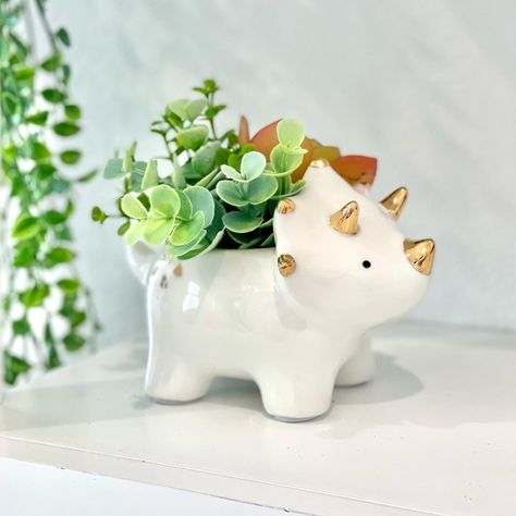 dinasour planter • Instagram Succulent Varieties, Art Camp, Small Succulents, Camping Art, Succulent Planter, Ceramic Planters, Very Well, Gold Foil, Potted Plants