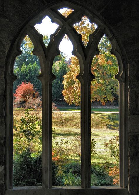 Chrysti Hydeck Viewing Nature's Art Taken at the Historic Oakwood Cemetery, Here in Raleigh, NC on 11/04/06 .. www.historicoakwoodcemetery.com/ Gothic Windows, Church Windows, Beautiful Windows, Arched Windows, Window View, Gothic Architecture, Through The Window, Beautiful Doors, Beautiful Architecture