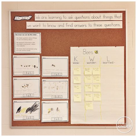 Weekly Round-Up: February 23 Bee Inquiry, Kindergarten Provocations, Inquiry Based Learning Activities, Discovery Table, Insects Kindergarten, Kindergarten Inquiry, Inquiry Project, Math Literacy Activities, Kindergarten Assessment