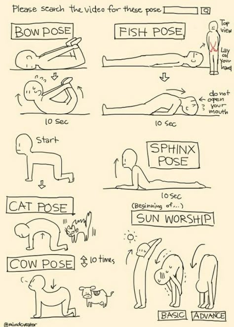 Yoga For Back, Get Fit At Home, Fit At Home, Morning Yoga Routine, Bow Pose, Cow Pose, No Gym, Posture Exercises, Yoga For Back Pain