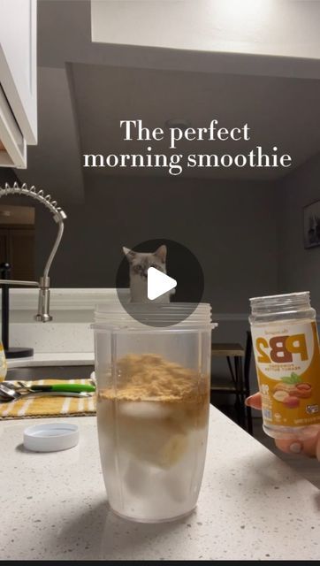 Taylor Savaglio\ Fitness Trainer on Instagram: "HAPPY MONDAY!!!
We all know that Monday’s set the tone for our week, so get up, get active, stay positive, and feed your body well! 

Here is my go to morning smoothie recipe!
Simple, healthy, and easy to make! 

Using my @nutribullet add
•Ice
•Water or any unsweetened nut milk
•1 banana
•PB2 peanut butter powder
• @sunwarrior vegan chocolate protein powder! 🤤

Thick and oh so chocolatey! ENJOY!!" Morning Smoothie Recipes, Butter Powder, Nutribullet Recipes, Get Active, Recipe Simple, Peanut Butter Powder, Morning Smoothie, Ice Water, Chocolate Protein Powder