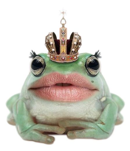 ForgetMeNot: frogs queens with crowns Christmas Globes, Pet Mice, Halloween Mummy, Emo Music, Funny Frogs, Halloween Monster, A Frog, Frog And Toad, Bird Cages