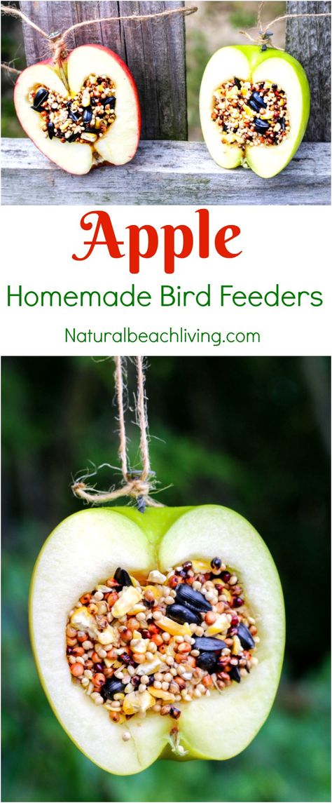 Apple Bird Feeder, Bird Seed Ornaments Recipe, Bird Feeder Craft, Bird Seed Ornaments, Homemade Bird Feeders, Bird Treats, Apple Activities, Food Ornaments, Diy Bird Feeder