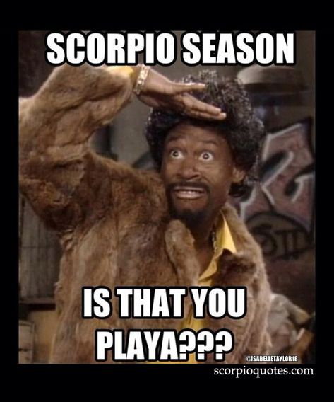 16 Scorpio Season Meme | Scorpio Quotes Scorpio Funny, Happy Birthday Month, Memes 2022, All About Scorpio, Zodiac Quotes Scorpio, Its My Birthday Month, November Baby, Scorpio Birthday, Season Quotes