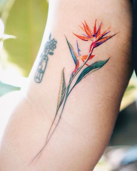 Bird Of Paradise Tattoo, Purple Butterfly Tattoo, Paradise Tattoo, Tattoo Spots, Paradise Flowers, White Ink Tattoo, Birds Of Paradise Flower, Chest Tattoos For Women, Botanical Tattoo