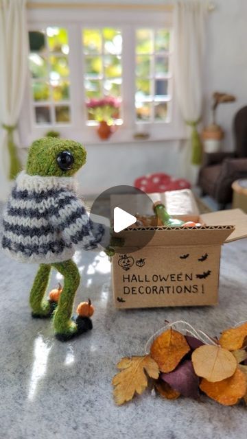 India Rose Crawford Videos, Frog And Toad Nursery, Crochet Toad, Knitted Frog, Frog Doll, Decorate For Halloween, India Rose, Vision 2024, Toy Photography