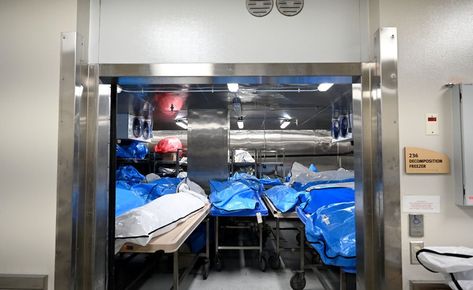 Experts Fear a Shortage of Forensic Pathologists Will Leave Deaths Unexplained Check more at https://en.news4social.com/lifestyle/health/experts-fear-a-shortage-of-forensic-pathologists-will-leave-deaths-unexplained/ Doctor Assistant, Medical Examiner, Emergency Management, Medical Records, Forensic, Trailer Park, Full Time Work, Cognitive Behavioral Therapy, Behavioral Therapy