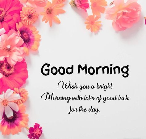 A bright Morning Images 2023 - Good Morning Images, Quotes, Wishes, Messages, greetings & eCards Afternoon Messages, Gd Mrng, Good Morning Sun, Morning Massage, Morning Gifs, Good Morning Message, Bright Morning, Gd Morning, Lovely Good Morning Images