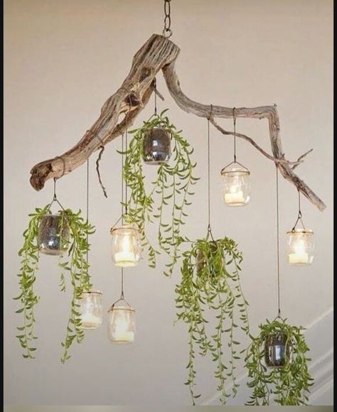 Trailing Succulents, Cascading Plants, Driftwood Chandelier, Tree Branch Decor, Diy Lampe, Deco Nature, Diy Chandelier, Branch Decor, Deco Floral