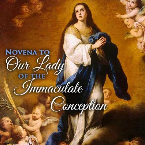 Patroness of the United States of America Novena Prayers Catholic, Immaculate Conception Of Mary, Our Lady Of Immaculate Conception, 7 Sorrows Of Mary, Prayers Catholic, Heavenly Mother, Novena Prayers, The Immaculate Conception, Mama Mary