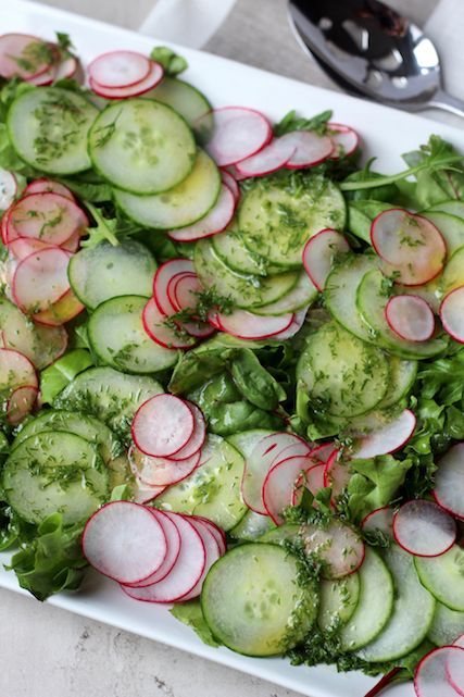 Cucumber & Radish Salad with Dill Vinaigrette Cucumber And Radish Salad, Cucumber Radish Salad, Dill Vinaigrette, Salad With Dill, Radish Recipes, Radish Salad, Blogger Inspiration, Cucumber Recipes, Idee Pasto Sano