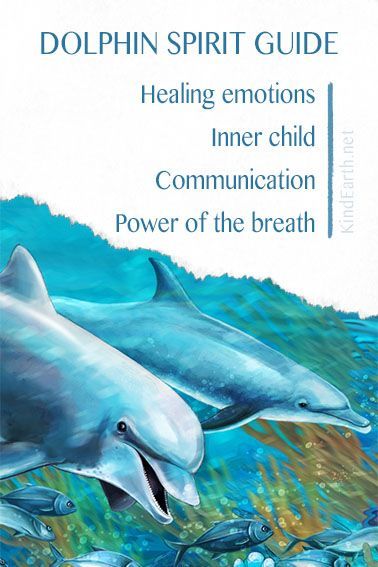 Dolphins are incredible creatures with an abundance of inspiration as animal spirit guides. Whether they are showing up in our dreams or we are simply drawn to their energy, they come with a gift of insight on our spiritual journey. Let's explore the deeper meaning of the Spirit of the Dolphin... Trusting in Ourselves: "Dolphins remind us Dolphin Meaning Spiritual, Dolphin Spirit Animal Meaning, Spirit Animal Dolphin, Animals Symbolism, Dusky Dolphin, Dolphin Quotes, Animal Symbols, Spirit Animal Meaning, Spiritual Angels