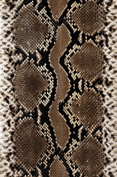 (1690×2560) Animal Print Wallpaper, Shotting Photo, Snake Skin Pattern, Skin Pattern, Leather Skin, Print Wallpaper, Animal Skin, Patterns In Nature, Color Textures