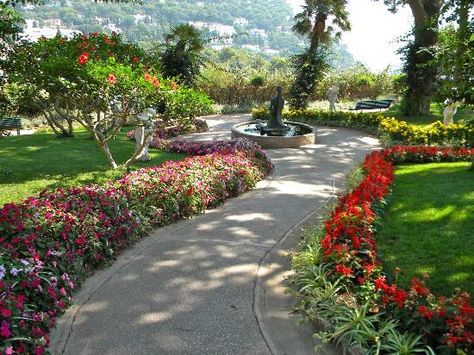 Gardens Of Augustus Capri, Garden Of Augustus Capri, Augustus Gardens Capri, Capri Italia, August Garden, Capri Island, Amalfi Coast Italy, Capri Italy, The Amalfi Coast