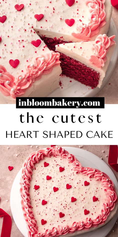 This is the cutest heart shaped cake you'll ever see! It's a moist red velvet cake frosted with cream cheese frosting and decorated all cute for Valentine's Day! Heart Cake Easy, Red Velvet Cake Valentines Day, Heart Shaped Red Velvet Cake, Valentine’s Day Cake Recipes, Valentine’s Day Cake Flavors, Heart Shape Cookie Cake, Easy Valentines Cake, Heart Red Velvet Cake, Valentines Day Cake Recipes