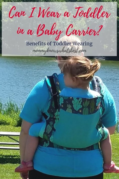 Can I Wear a Toddler in a Baby Carrier? Yes! There are so many benefits to wearing a toddler in a baby carrier. Plus: Best Carriers for Toddlers Parenting Hacks Toddlers, Baby Wearing Wrap, Mom Life Funny, Toddler Carrier, Parenting Win, Toddler Schedule, Family Tips, Best Baby Carrier, Mom Group