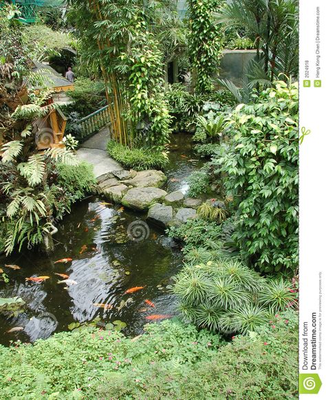 Koi Ponds and Gardens | Garden With Koi Ponds2 Royalty Free Stock Photos - Image: 2024918 Garden With Koi Pond, Tropical Water, Pond Fish, Pond Water Features, Ponds Backyard, Small Garden Design, Koi Pond, Free Stock Photos Image, Small Garden