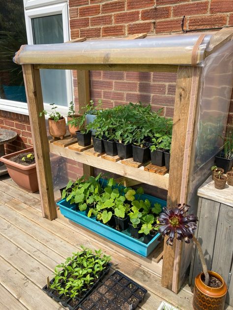 Diy Greenhouse On Deck, Pallet And Window Greenhouse, How To Build A Mini Greenhouse, Mini Greenhouse Ideas Diy, Mini Green House Ideas, Diy Cold Frame Ideas, Willow Garden Ideas, Diy Cold Frame Greenhouse, Table Top Greenhouse Diy