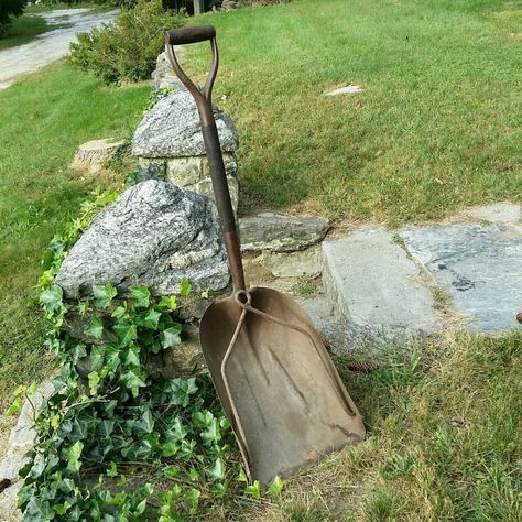 What is it?  Antique muck shovel?  Antique coal shovel?  Distressed modern whatsit shovel?  And how do I find more info about how they were installed & used, and when? Shovel Aesthetic, College Work, Shovel, Garden Tools, Garden Ideas, Mood Board