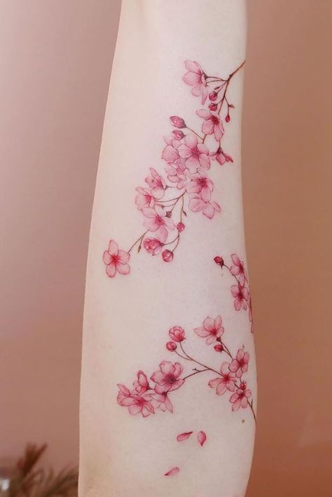 Japanese Flower Blossom Tattoo, Flower Tattoos Cherry Blossoms, Big Cherry Blossom Tattoo, Tattoo Blossom Cherry, Sakura Tattoo Shoulder, Cherry Blossom Tattoo Watercolor, Japenses Cherry Blossom Tattoos, Cherry Blossom Tattoo Wrap Around Arm, Color Cherry Blossom Tattoo