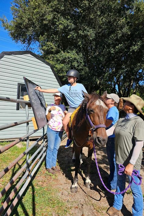 Hippotherapy Occupational Therapy, Therapeutic Riding Games And Activities, Hippotherapy Activities, Equine Therapy Activities, Therapeutic Horseback Riding, Horse Obstacles, Therapeutic Riding, Animal Therapy, Goals 2024