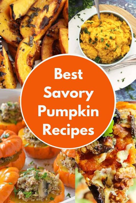 Pumpkin Dishes Dinners, Pumpkin Recipes Healthy Savory, Canned Pumpkin Recipes Dinner, Pumpkin Main Dishes, Meals With Pumpkin, Roasted Pumpkin Recipes Dinners, Savory Pumpkin Appetizers, Pumpkin Side Dish Recipes, Pumpkin Savory Recipes