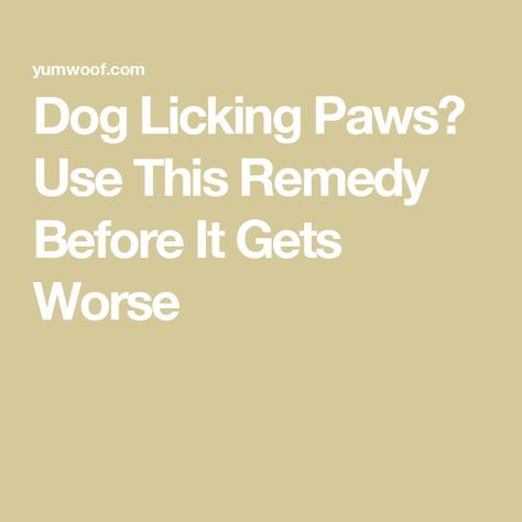 Dog Licking Paws? Use This Remedy Before It Gets Worse Why Do Dogs Lick, Dog Remedies, Slippery Floor, Paw Pads, Medical Problems, What Can I Do, Dog Health, Dog Paws, Pet Parent