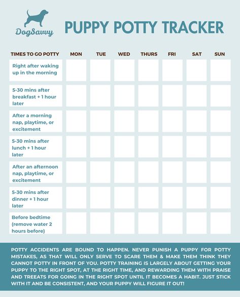 How To Potty Train A Puppy Dog Potty Schedule, Puppy Potty Training Schedule Printable, Puppy Potty Training Schedule By Age, How To Potty Train A Puppy, Puppy Training Schedule By Age, Puppy Potty Training Schedule, Lab Puppy Training, Potty Training Schedule, Whelping Puppies