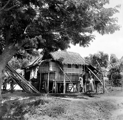 Probably near Manila. LIFE photograph collection. Photographer: Carl Mydans For personal non-commercial use only Image is copyrighted by © Time Inc. Old Filipino Houses, Filipino Houses, Bahay Kubo Design, House Philippines, Philippine Architecture, Filipino House, Filipino Architecture, Philippine Houses, Bahay Kubo