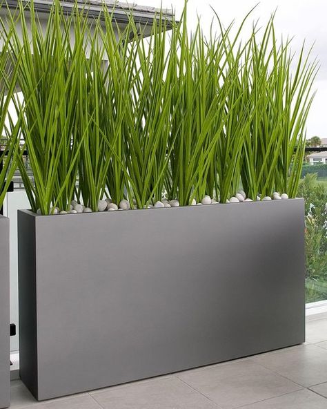 Matthew Lang on Instagram: "Looking to add a little bit of privacy to your outdoor space ? Check out these artificial UV Tolerant Light Green Grasses we recently installed. #artificial #greengrass #custom #design #modern #privacy #highquality #uvtolerant #exclusive #plants" Long Planter Ideas Outdoor, Planters Around Pool For Privacy, Grass Planter Boxes, Tall Grasses For Privacy Planters, Plant Privacy Screen, Faux Plant Privacy Screen, Tall Ornamental Grasses Privacy Screens, Privacy Planters, African Homes