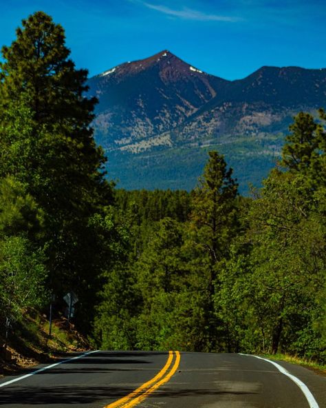 Eulisess coronado’s Instagram post: “Flagstaff #arizona #flagstaff” Arizona Aesthetic, Arizona Mountains, Flagstaff Arizona, Flagstaff Az, Lovely Places, California Dreamin', Flagstaff, Fig Tree, Fig