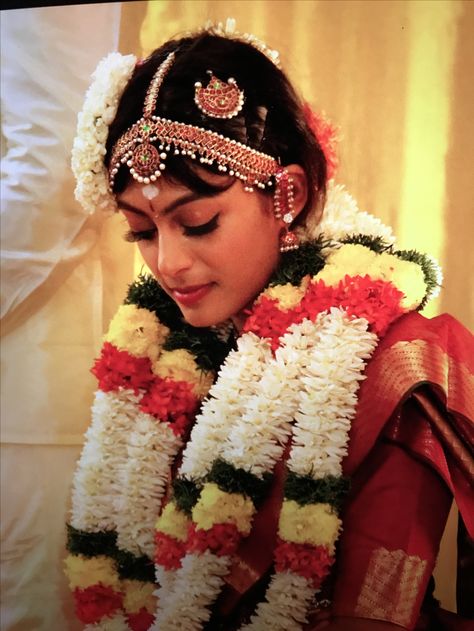 South Indian iyengar bride Iyengar Bride, Iyengar Wedding, Bridal Hairstyles Indian, Wedding South Indian, South Indian Wedding Hairstyles, Shave Eyebrows, South Wedding, Indian Wedding Receptions, Indian Reception