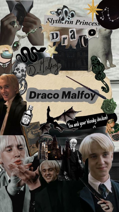 Draco Malfoy Hot, Draco Malfoy Imagines, Ron And Harry, Hidden Art, Harry Draco, Draco Malfoy Aesthetic, Tom Felton Draco Malfoy, Images Harry Potter, Draco Harry Potter