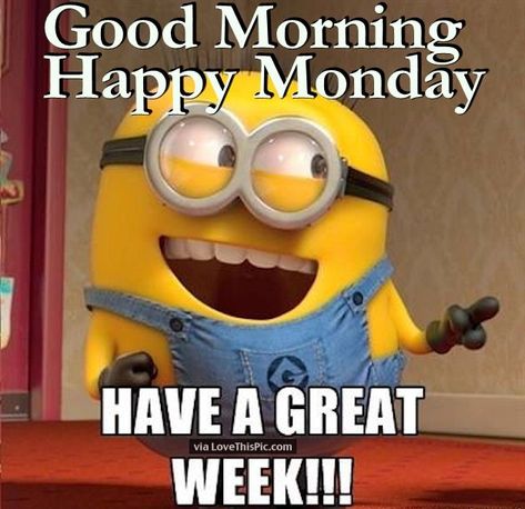 Good Morning Happy Monday Minion Quote Good Morning Happy Monday, Now Quotes, Minions Love, A Minion, Birthday Quotes Funny, Minion Quotes, Funny Minion Quotes, Minions Quotes, Good Morning Happy