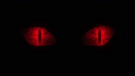 Red Anime Eyes Gif, Red Eyes Aesthetic, Dark Red Eyes, Eyes Blinking, Red Eyes Anime, Red Glowing Eyes, Bat Eyes, Glowing Red Eyes, Vampire Eyes