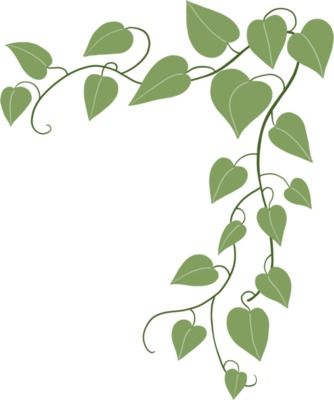 Ivy Pattern Design, English Ivy Drawing, Ivy Drawing Vines, Vines Drawing Simple, Ivy Doodle, Ivy Illustration, Ivy Drawing, Ivy Draw, Door Paintings