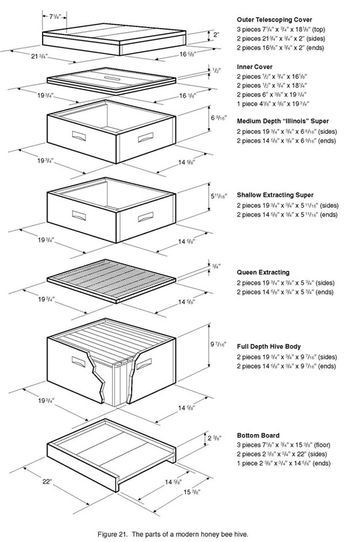 Langstroth Hive Plans, Building A Beehive, Bee Hives Boxes, Bee Template, Langstroth Hive, Bee Hive Plans, Beekeeping Equipment, Backyard Beekeeping, Honey Bee Hives