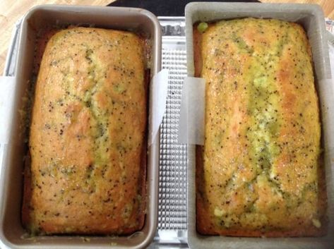 Kiwi Baked Goods, Kiwi Banana Bread, Kiwi Bread Recipes, Yellow Kiwi Recipes, Kiwi Bread, Kiwi Recipes, Tea Loaf, Tea Bread, Fruit Bread