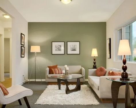 Accent Wall Mistakes to Avoid: Color Alone Does Not Make a Successful Accent Wall Sage Green Living Room, Furnitur Ruang Keluarga, Living Room Wall Color, Room Wall Colors, Contemporary Living Room Design, Living Room Color Schemes, Living Room Accessories, Trendy Living Rooms, Living Room Green