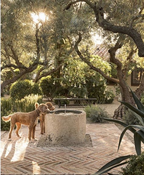 Landscape Designs, Mediterranean Garden, Pergola Patio, Dream Backyard, Gorgeous Gardens, Outdoor Rooms, Water Fountain, Outdoor Design, Dream Garden