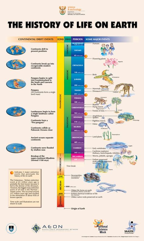 Life on Earth Image Coutery : AEON History Of Life On Earth, Geologic Time Scale, History Of Earth, Earth Poster, Earth Images, History Timeline, Ayat Alkitab, Life On Earth, Charles Darwin