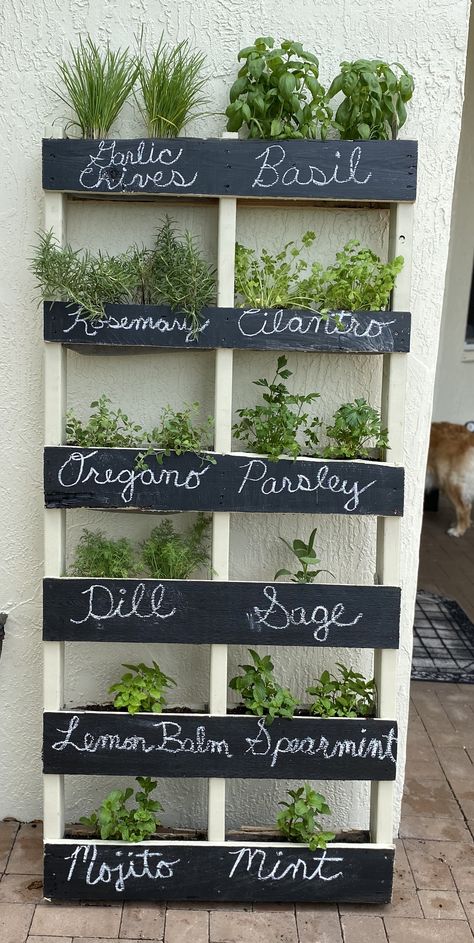 Herb Shelf Kitchen, Vertical Herb Garden Indoor, Vertical Vegetable Gardens Diy, Indoor Herb Garden Wall, Herb Wall Kitchen, Living Herb Wall, Herb Garden Indoor, Balcony Herb Gardens, Indoor Garden Rooms