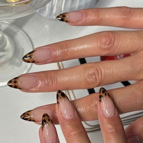 𝐂𝐄𝐄𝐒𝐂𝐋𝐀𝐖𝐒 on Instagram: "tortoise for fall 🤎
•
Inspo ? 
Using @apresnailofficial natural medium almond" Fun Tortoise Nails, Almond Tortoise Shell Nails, Cheetah Nails Design, Tortoise French Tip Nails, Tortoise Nail, Tortoise Nails, Medium Almond, Leopard Nails, Fall Inspo