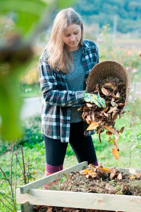 What Is Compost, Composting Food Scraps, Start Composting, Garden Shoot, Composting 101, Compost Pile, Composting Process, How To Make Compost, Eco Garden